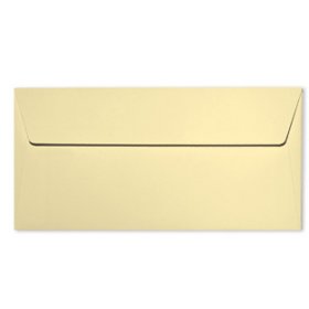 20 enveloppes 11x22cm chamois