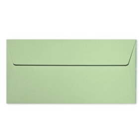 20 enveloppes 11x22cm vert
