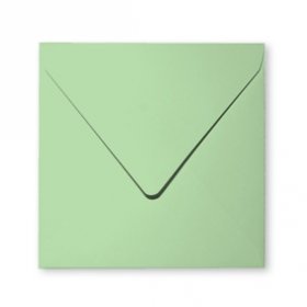 20 enveloppes 14x14cm vert