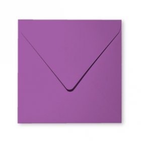 20 enveloppes 14x14cm violine