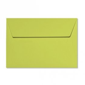 20 enveloppes 9x14cm vert bourgeon