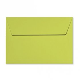 20 enveloppes 9x14cm vert bourgeon