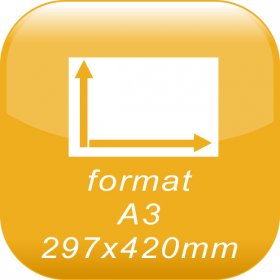 format A3