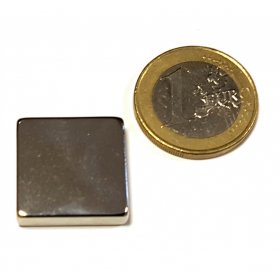 Neodymium magnetic blocks 0,79X0,79X0,2in