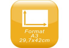 format A3 29,7x42cm