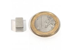 Neodym-Magnete, Blcke 10 x 6 x 6 mm