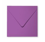 20 enveloppes 14x14cm violine
